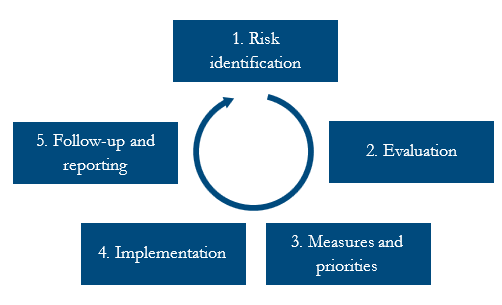 The risk management process in five steps.